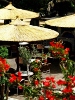 The outdoor café , Vassilia Rooms & Suites, Livadakia, Serifos, Cyclades, Greece