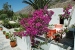 A garden view balcony in the front , Morfeas Apartments, Kamares, Sifnos, Cyclades, Sifnos